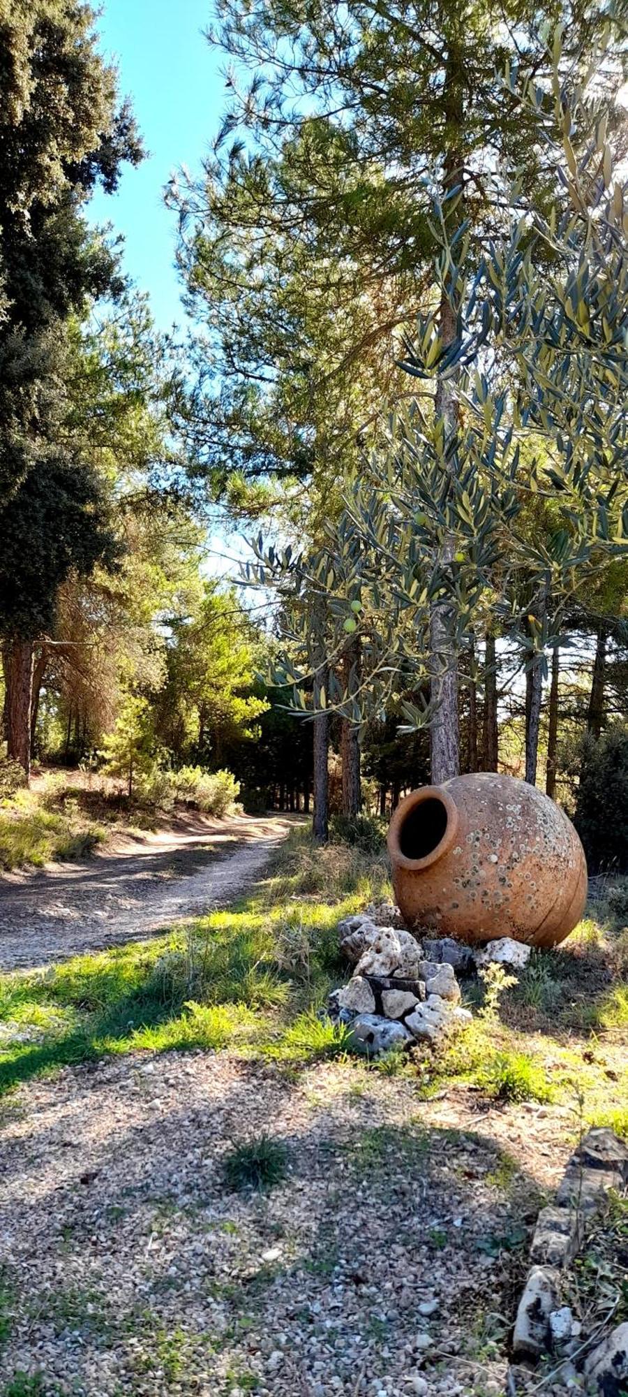 Villa Sanz Куенка Екстериор снимка