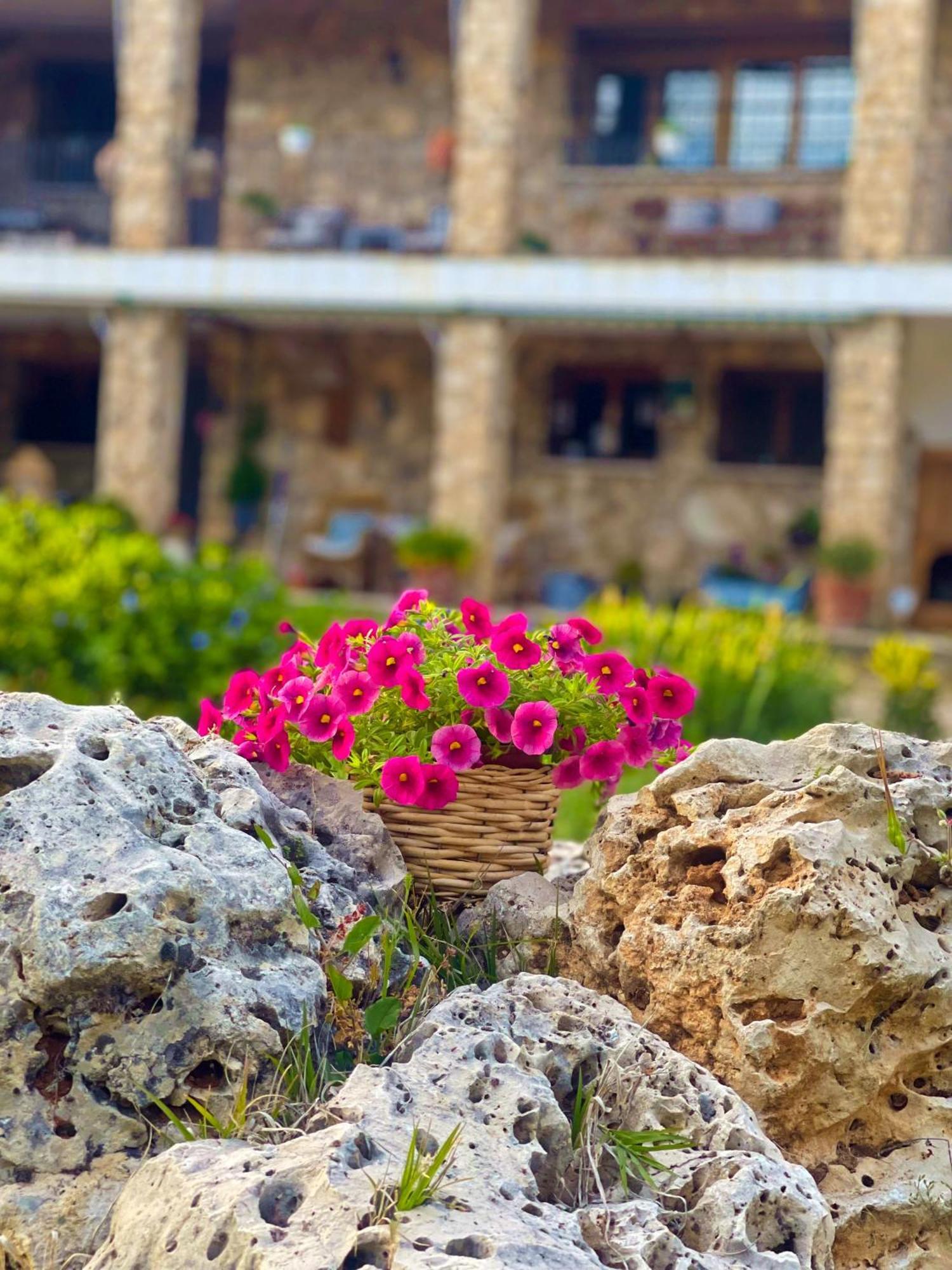 Villa Sanz Куенка Екстериор снимка